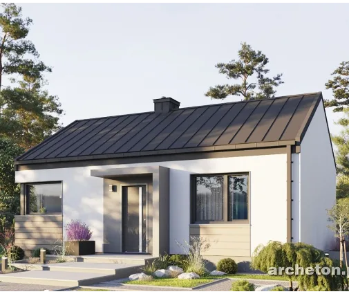 Can a Small House Skip the Building Permit? One Family's Path, Compared with Europe
